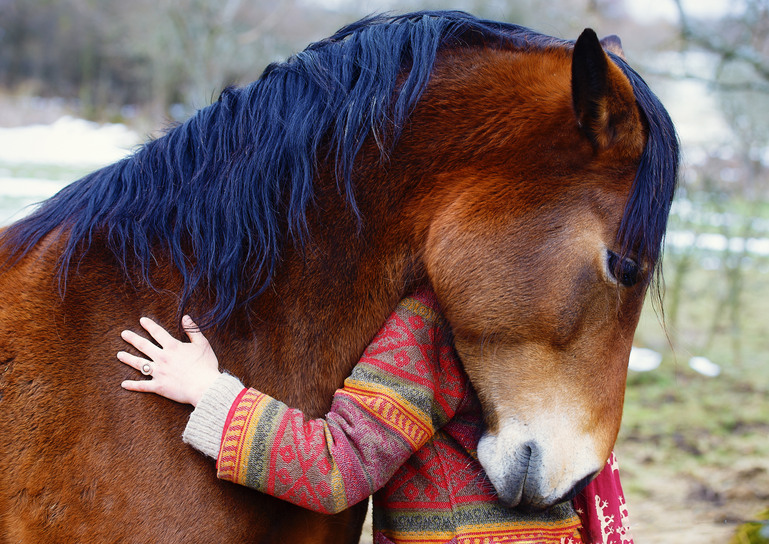 en person kramar en häst